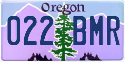 OR license plate 022BMR