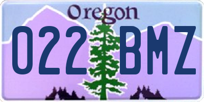 OR license plate 022BMZ