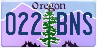 OR license plate 022BNS