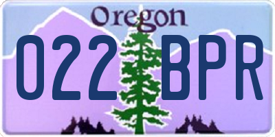OR license plate 022BPR