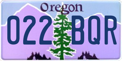 OR license plate 022BQR
