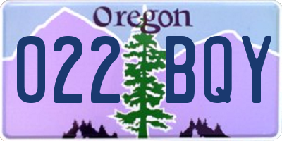 OR license plate 022BQY