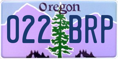 OR license plate 022BRP