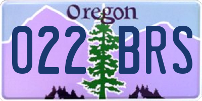OR license plate 022BRS