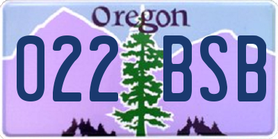 OR license plate 022BSB