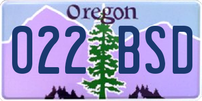 OR license plate 022BSD