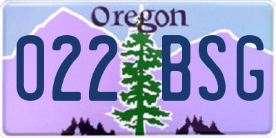 OR license plate 022BSG