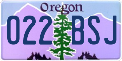 OR license plate 022BSJ