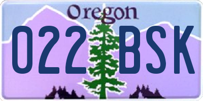 OR license plate 022BSK