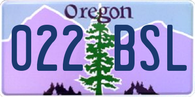 OR license plate 022BSL