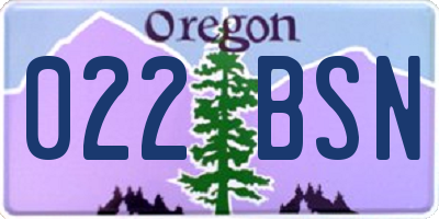 OR license plate 022BSN