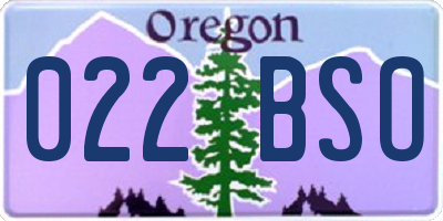 OR license plate 022BSO