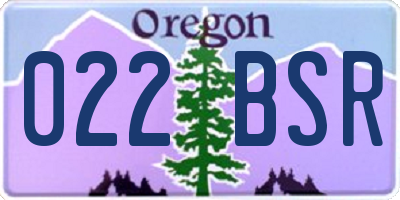 OR license plate 022BSR