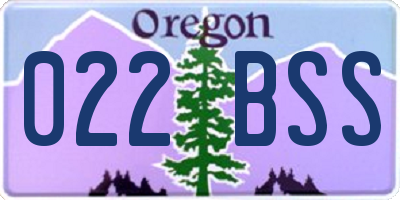 OR license plate 022BSS