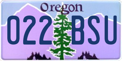 OR license plate 022BSU