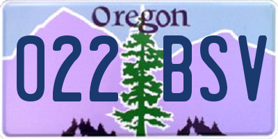 OR license plate 022BSV