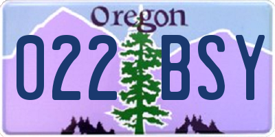 OR license plate 022BSY