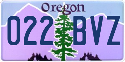 OR license plate 022BVZ