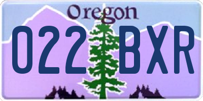 OR license plate 022BXR