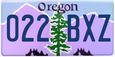 OR license plate 022BXZ