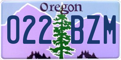 OR license plate 022BZM