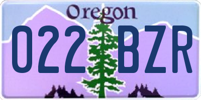 OR license plate 022BZR