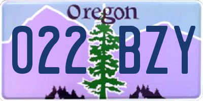 OR license plate 022BZY