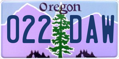 OR license plate 022DAW
