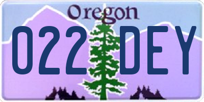 OR license plate 022DEY
