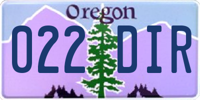 OR license plate 022DIR