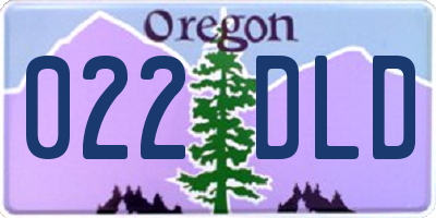 OR license plate 022DLD