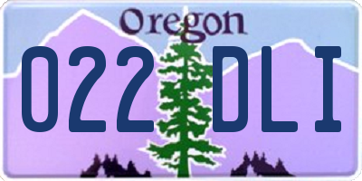 OR license plate 022DLI
