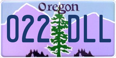 OR license plate 022DLL