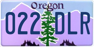 OR license plate 022DLR