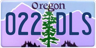 OR license plate 022DLS