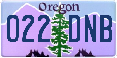 OR license plate 022DNB