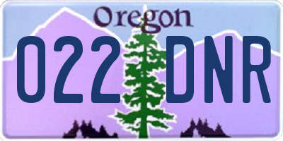 OR license plate 022DNR