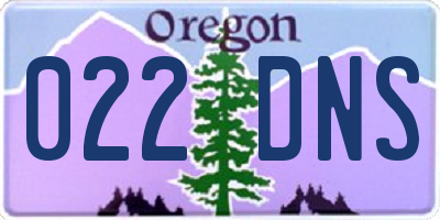 OR license plate 022DNS