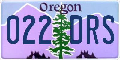 OR license plate 022DRS