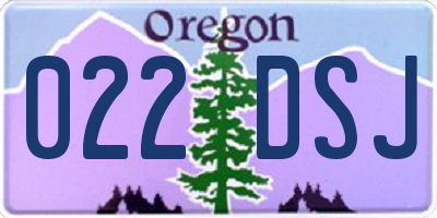 OR license plate 022DSJ