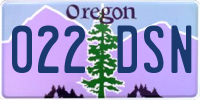 OR license plate 022DSN