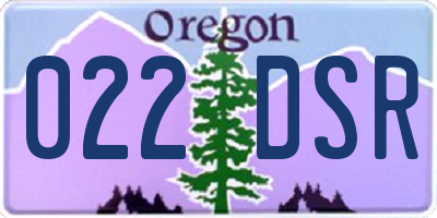 OR license plate 022DSR