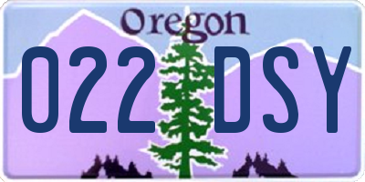 OR license plate 022DSY