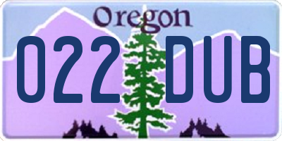 OR license plate 022DUB