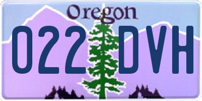 OR license plate 022DVH