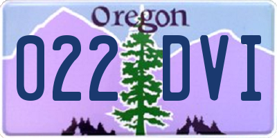 OR license plate 022DVI