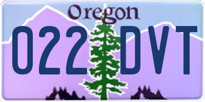 OR license plate 022DVT