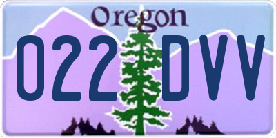 OR license plate 022DVV