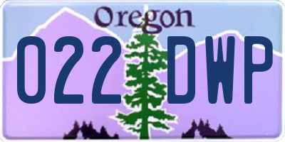 OR license plate 022DWP
