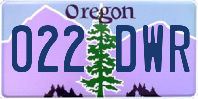 OR license plate 022DWR
